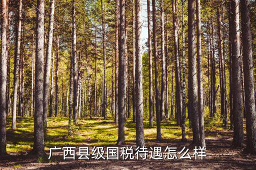 廣西縣級國稅待遇如何，廣西河池市下面各縣國家稅務(wù)局待遇如何
