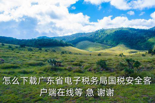 廣州電子稅務(wù)局如何登陸，怎么下載廣東省電子稅務(wù)局國稅安全客戶端在線等 急 謝謝