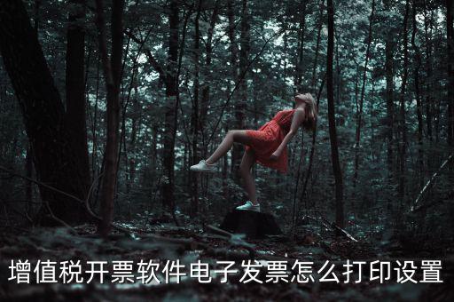 電子發(fā)票如何設(shè)置，acdsee5怎樣修改電子發(fā)票