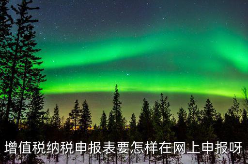 增值稅網(wǎng)上如何申報(bào)系統(tǒng)，增值稅納稅申報(bào)表要怎樣在網(wǎng)上申報(bào)呀