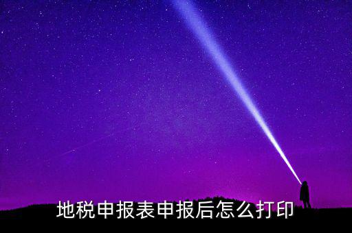 地稅如何打印申報(bào)表，地稅納稅申報(bào)表怎么打印