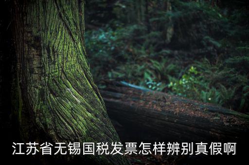如何查詢無錫國稅發(fā)票真?zhèn)尾樵?，江蘇省無錫國稅發(fā)票怎樣辨別真假啊