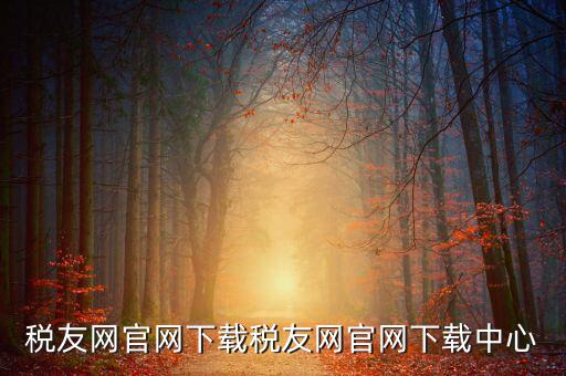 稅友如何下載，個(gè)稅在稅友網(wǎng)上下載下來(lái)了然后怎么安裝