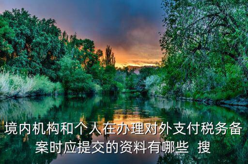 如何填列對外支付稅務(wù)備案表，境內(nèi)機構(gòu)和個人在辦理對外支付稅務(wù)備案時應(yīng)提交的資料有哪些  搜