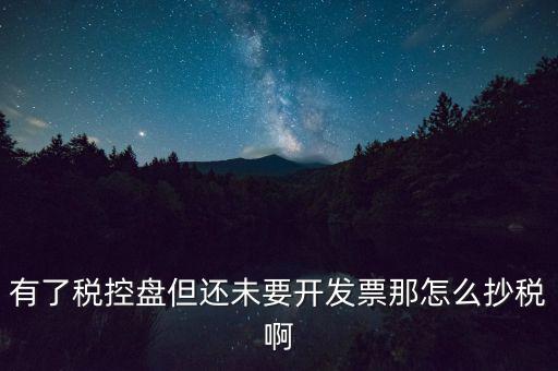 稅控盤如何抄報稅，有了稅控盤但還未要開發(fā)票那怎么抄稅啊