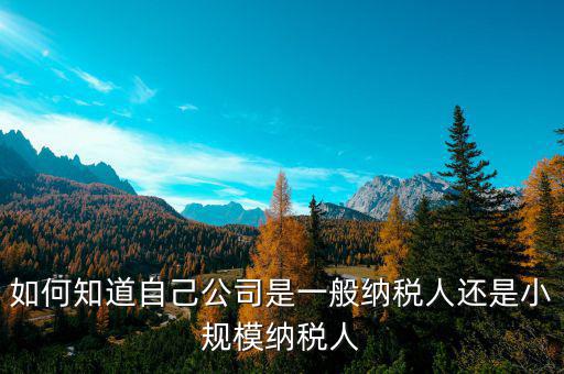 如何查詢一般納稅人還是小規(guī)模企業(yè)，如何看是一般納稅人還是小規(guī)模納稅人