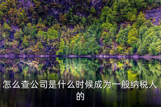 如何查詢一般人納稅認(rèn)定時(shí)間，怎么查公司是什么時(shí)候成為一般納稅人的
