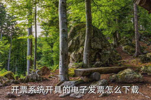 發(fā)票助手如何安裝在手機(jī)上，增值稅發(fā)票稅控開票軟件怎么安裝