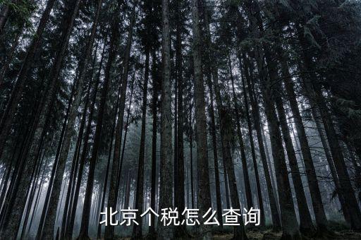 北京地稅局官網(wǎng)如何查個(gè)稅，怎么查詢最新北京個(gè)稅繳納情況