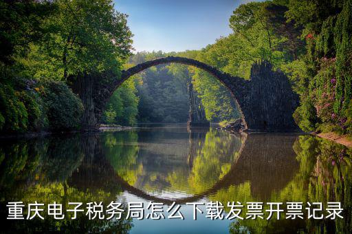 重慶市稅務(wù)局電腦如何下載，重慶市自然人電子稅務(wù)局扣繳端怎么下載