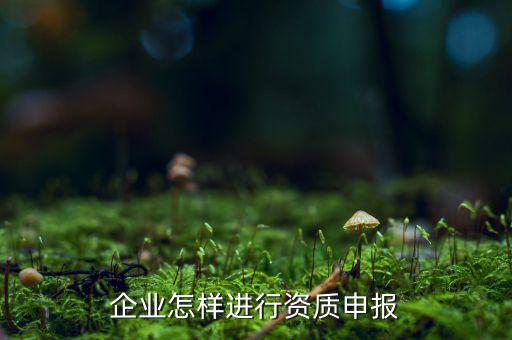 企業(yè)怎樣進行資質申報