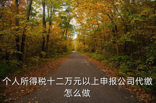 如何做好12萬元申報(bào)征收工作，個(gè)人所得稅十二萬元以上申報(bào)公司代繳怎么做