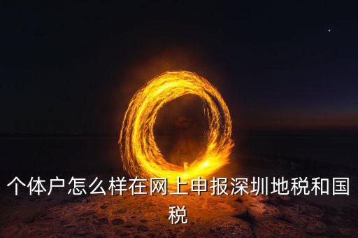 深圳市個稅如何申報系統(tǒng)，個體戶怎么樣在網上申報深圳地稅和國稅