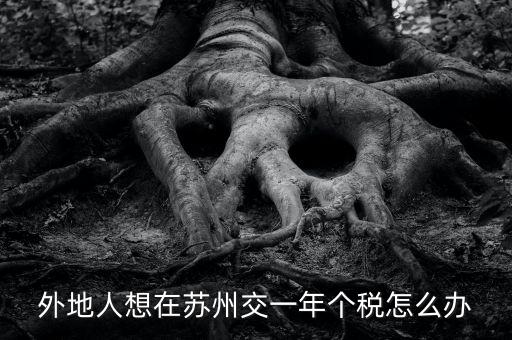 蘇州如何補(bǔ)繳個稅，外地人想在蘇州交一年個稅怎么辦
