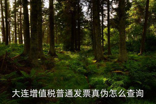 大連定額發(fā)票如何查詢系統(tǒng)，大連增值稅普通發(fā)票真?zhèn)卧趺床樵?/></a></span><span id=
