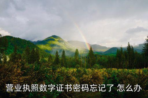 如何找回數(shù)字證書密碼，營業(yè)執(zhí)照數(shù)字證書密碼忘記了 怎么辦