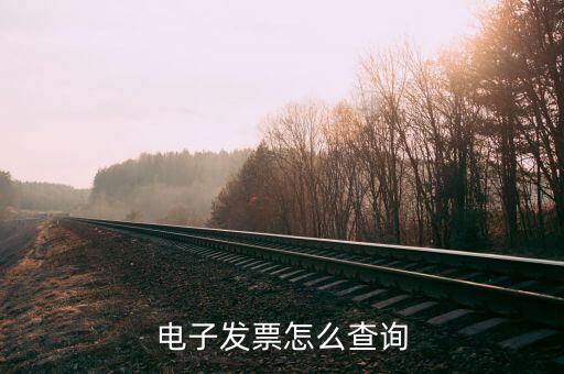 如何在電子稅務(wù)局查詢發(fā)票，開票信息在哪里查詢