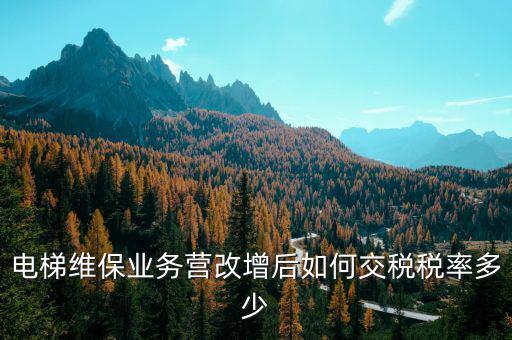 維保電梯如何納稅，麻煩問一下電梯維護(hù)與保養(yǎng)納什么稅稅率是多少 如果我公司銷售