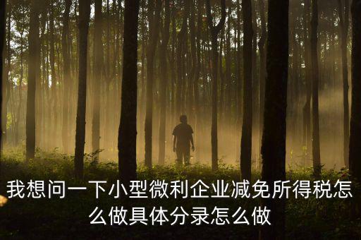 小微企業(yè)所得稅如何減免，我想問一下小型微利企業(yè)減免所得稅怎么做具體分錄怎么做