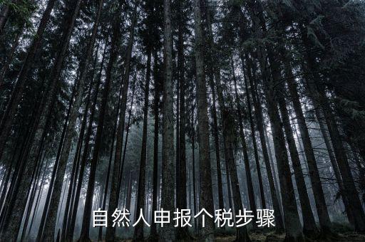 自然人稅收如何申報表，自然人申報個稅步驟