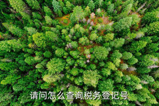 如何查地稅登記號(hào)，怎樣在網(wǎng)上查詢國(guó)稅和地稅登記號(hào)