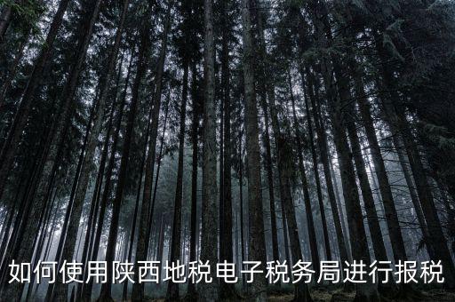 如何使用陜西地稅電子稅務(wù)局進行報稅