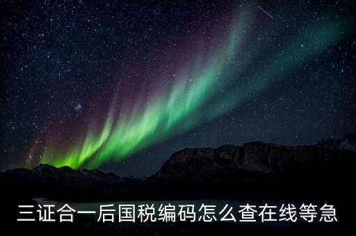 個人稅務(wù)編號如何查，請問在哪里可以查到納稅人編碼