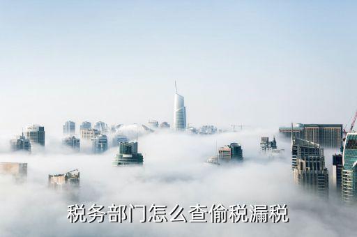 國稅如何查制度，上海電子稅務(wù)局如何查公司使用的會計準則