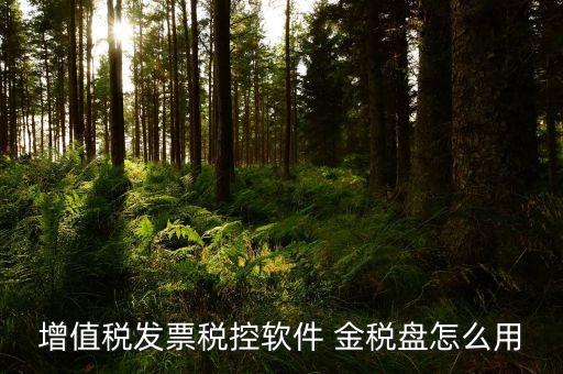 稅控盤如何用，我想問下 稅控盤如何使用