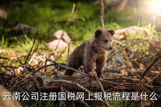 如何進入云南網(wǎng)上稅務(wù)申報系統(tǒng)，如何進行網(wǎng)上稅務(wù)申報