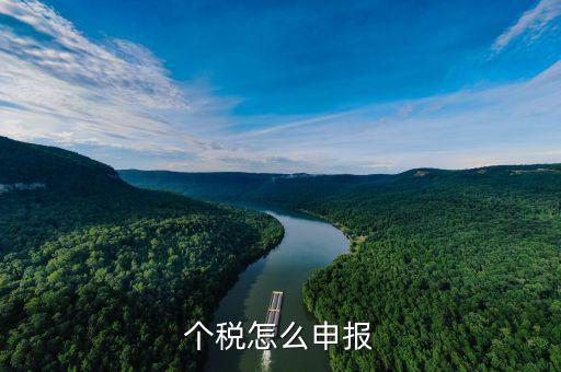 商業(yè)保險(xiǎn)個(gè)稅如何申報(bào)，商業(yè)保險(xiǎn)怎么可以抵扣個(gè)人所得稅