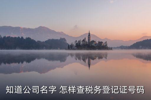 公司國稅編號如何查詢系統(tǒng)，公司的稅務(wù)登記證號怎么查詢