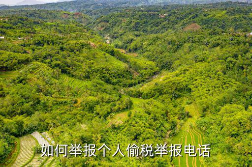 如何去稽查局 舉報電話，如何舉報個人偷稅舉報電話