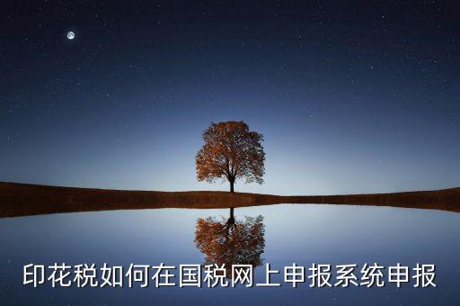 如何在網(wǎng)上申報安徽印花稅，如何在網(wǎng)上進(jìn)行印花稅的申報和繳納