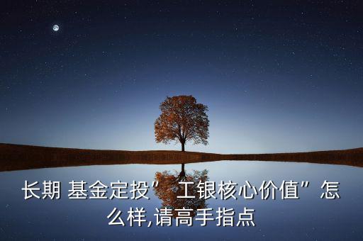 長期 基金定投” 工銀核心價(jià)值”怎么樣,請高手指點(diǎn)