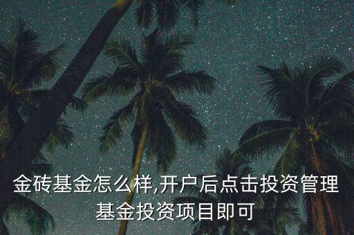 招商金磚基金怎么樣,開戶后點(diǎn)擊投資管理-基金-投資項目即可