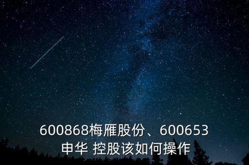600868梅雁股份、600653 申華 控股該如何操作