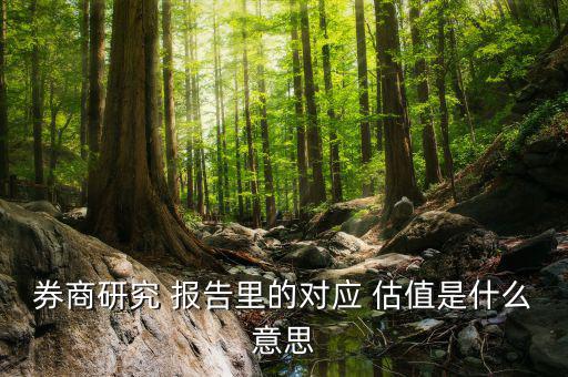 股票估值報(bào)告怎么寫,a股市場用市盈率評價(jià)股票是否低估