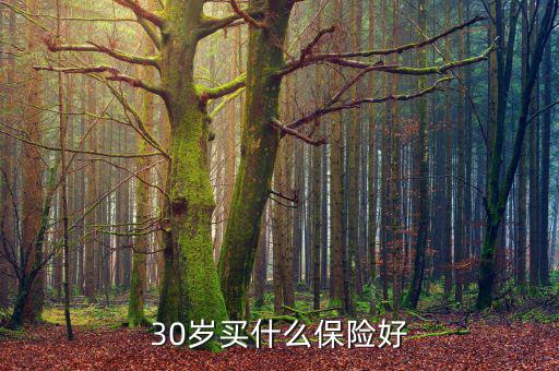 穩(wěn)賺1號(hào)怎么購買,家庭買保險(xiǎn)遵循兩原則