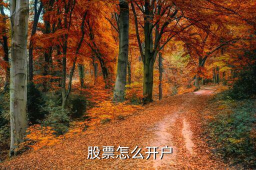  股票怎么開(kāi)戶
