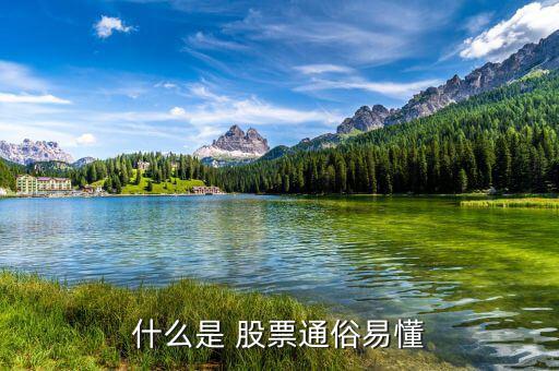 怎么懂股票,股票基礎(chǔ)、股票定投、投資書籍等資源免費下載