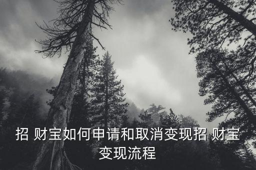 招財(cái)寶怎么買保險,財(cái)寶提醒你什么都不能做!