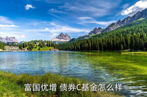 嘉實(shí)債券怎么樣,短債基金包括諾安債券、友邦短債、嘉實(shí)超短債