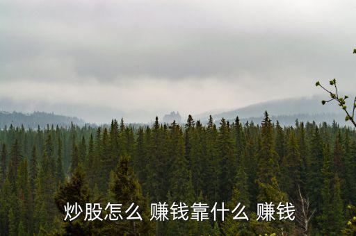 美國個人炒股怎么賺錢,美股堅(jiān)毅向前預(yù)測