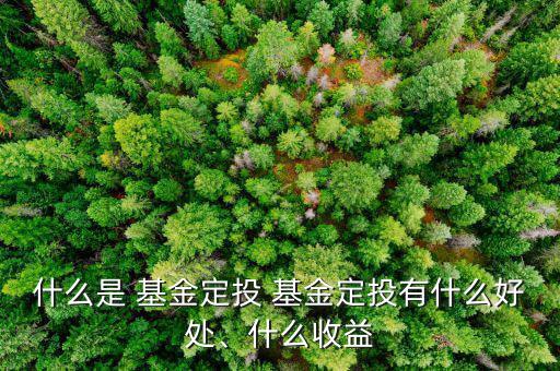 什么是 基金定投 基金定投有什么好處、什么收益