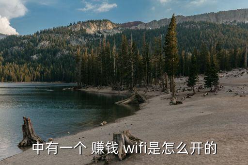 中有一個(gè) 賺錢 wifi是怎么開(kāi)的