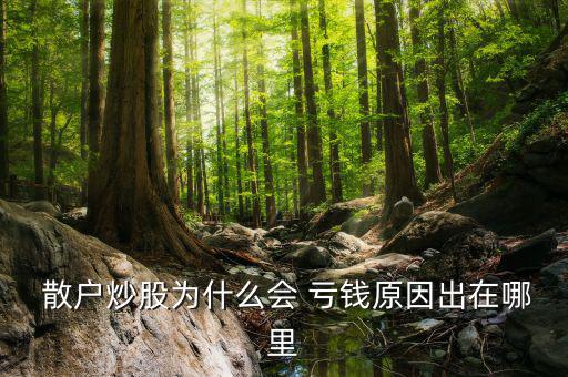  散戶炒股為什么會(huì) 虧錢(qián)原因出在哪里