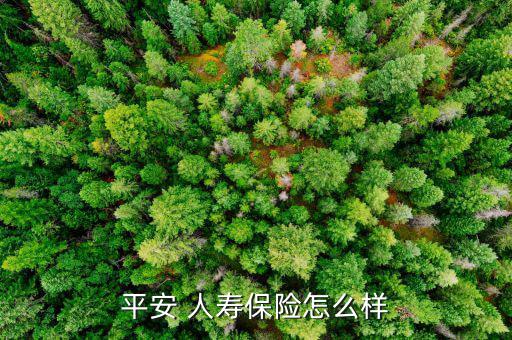 安達人壽保險怎么樣,人壽保險分類:1.7、風(fēng)險保障型壽保