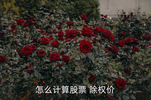 除權(quán)后的價格怎么算,除權(quán)價格