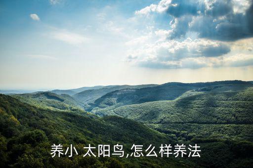 養(yǎng)小 太陽(yáng)鳥,怎么樣養(yǎng)法